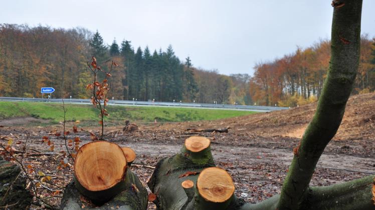 Nur noch wenige Stammstücken liegen auf der Fläche neben der Auffahrt zur Autobahn 14 – Schwerin Ost. Alles wurde abgeholzt. 