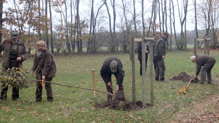 Am Sonnabend trafen sich etliche Einwohner und Kirchengemeindemitglieder auf dem Friedhof und pflanzten die ersten Birken. 
