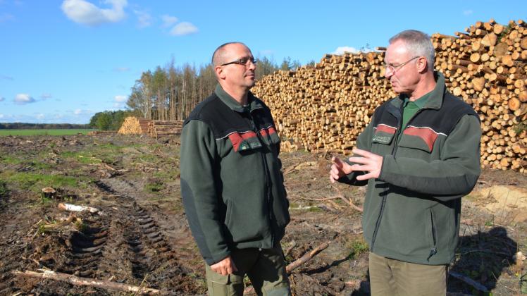 Fläche beräumt: Frank Mahler (l.) und Dr. Holger Voß auf dem Areal, auf dem die Bäume gefällt werden mussten, weil sie nach dem Feuer abgestorben waren. 