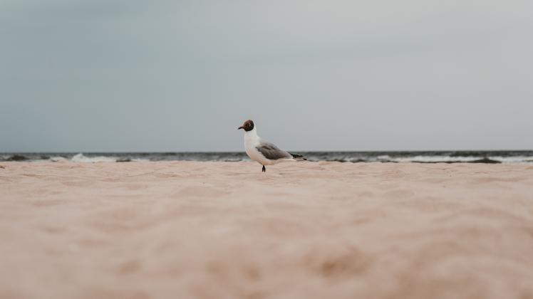 julian-hochgesang-vVIspUNVNK4-unsplash.jpg julian-hochgesang-vVIspUNVNK4-unsplash.jpg