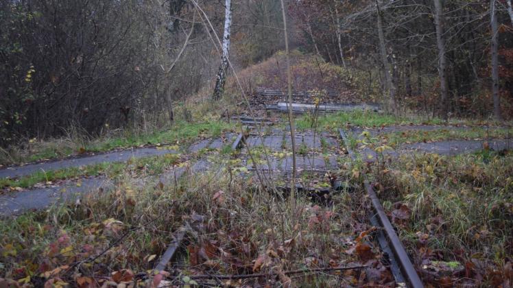 Betonschwellen im Wald bei Warin
