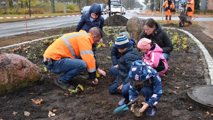 Vorsichtig setzen die Kinder der Kita Parkviertel die Stauden in die Erde. Bauhof-Mitarbeiter Philipp Ruhkick (l.) hilft ihnen. 
