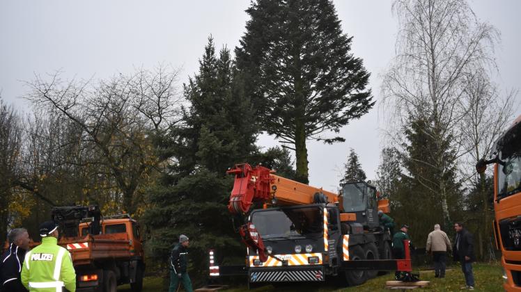 Kurz bevor der Baum (hinten) geschlagen wird. Unterstützt wird der Stadtbetriebshof mit Krantechnik von Kfz Service-Metallbau Perleberg und einem Tieflader mit Kran von Schrödertransporte. 