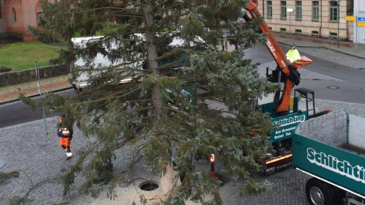 Die Blaufichte in Brüel hatte es in sich. 