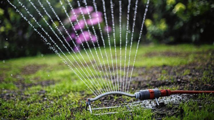 Regenwasser sollte unbedingt für die Bewässerung des Gartens verwendet werden. Seine Entsorgung kostet in den Gemeinden unterschiedlich viel Geld. 
