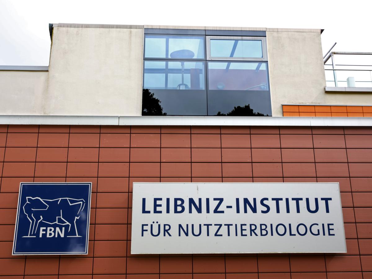 Ein Jahr Aufschub für Leibniz-Institut für Nutztierbiologie | NNN