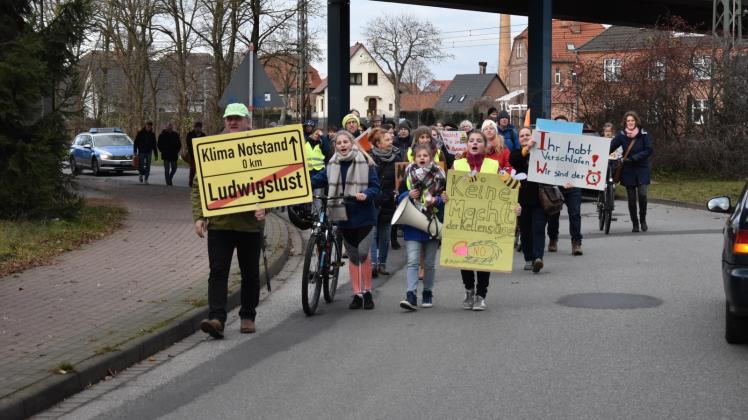 Rund 30 Kinder und Erwachsene nahmen an der Ludwigsluster „Fridays for Future“-Demo teil.