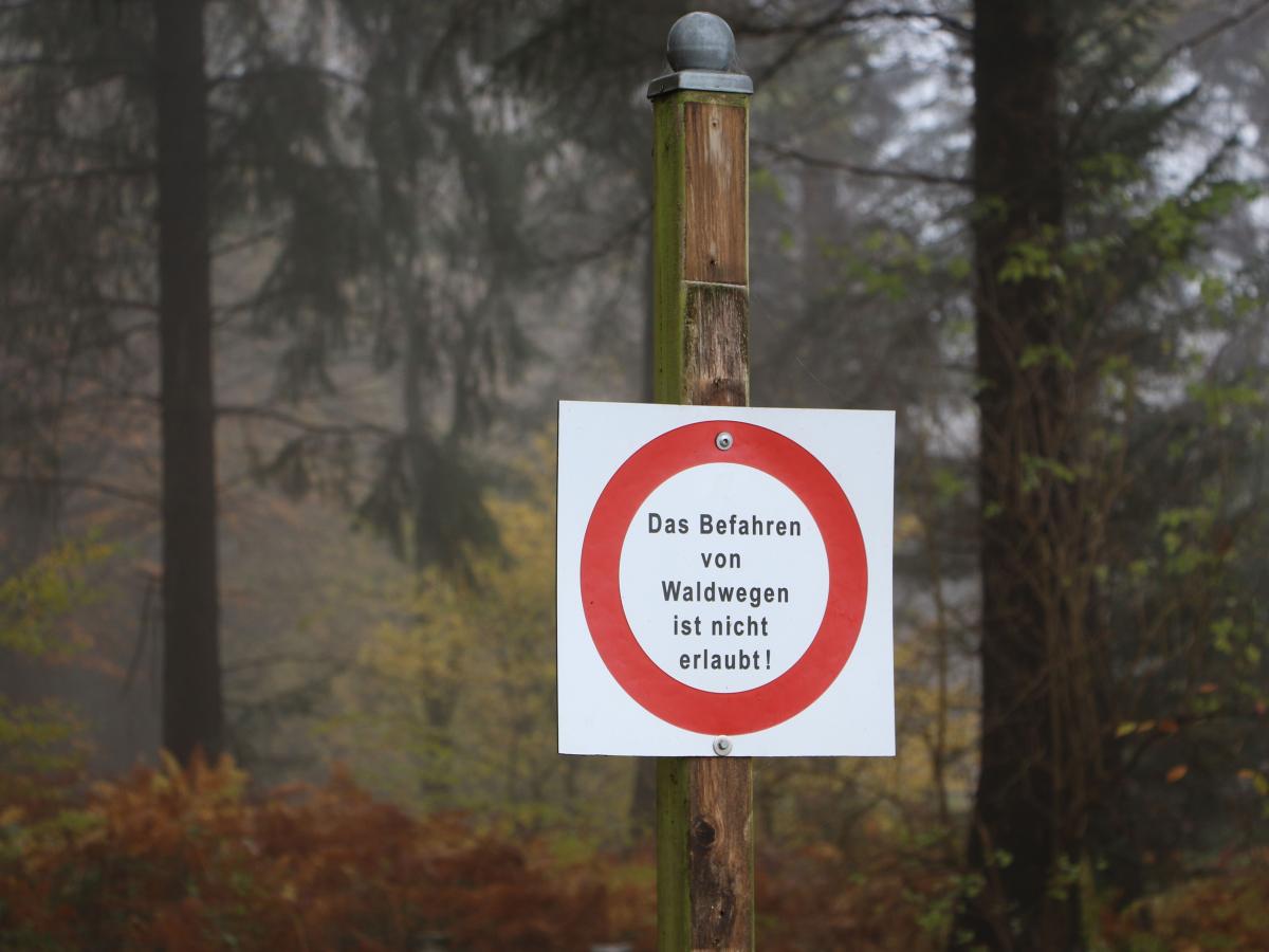 Ruheforst Ostenfeld: Die Zufahrt ist wieder offen | SHZ