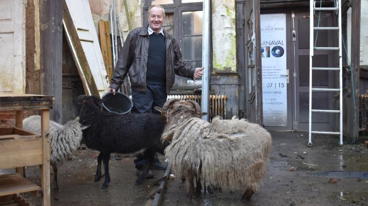 Den ehemaligen Restaurantbereich in der Brandruine des Schlosses Charlottenthal hat Günther Wolgien bereits komplett vom Schutt befreit. Seine Schafe helfen ihm dabei, den Rasen auf dem Schlossgelände kurz zu halten. 