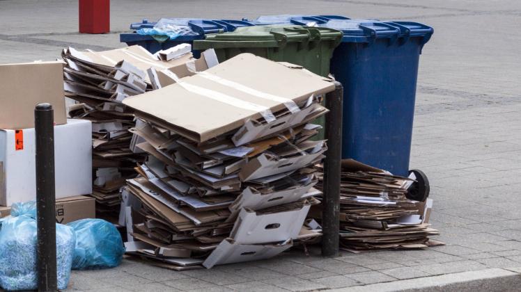 Was der Papiermüll über die Vorlieben seiner Entsorger verrät | SHZ