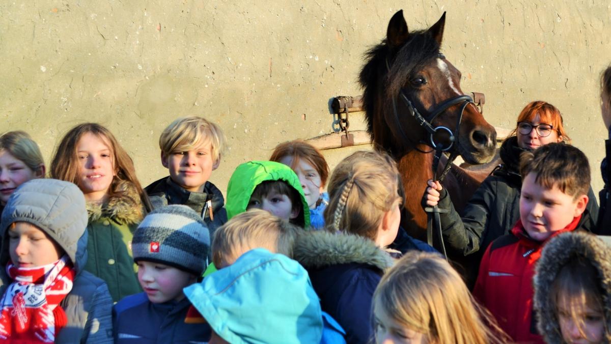 Unterricht mit dem Schulpferd in der Baeker Schule | SVZ
