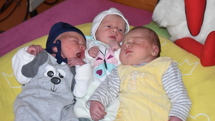 Die ersten drei Babys: Leonie aus Jamel, Enny (M.) aus Brüel und Theodor (l.) aus Blievenstorf.