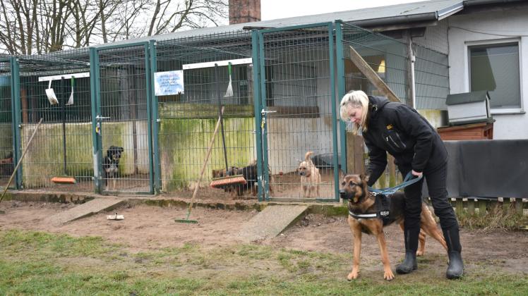 Tierschutz in der Region: Denise Gattas, Vorsitzende des Vereins „Tierheim Laage – Neue Chancen für Tiere in Not“ mit Paddy.  