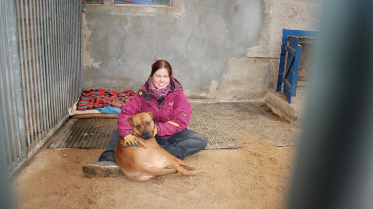 Die junge Hündin „Naila“ kuschelt im Tierheim in Roggendorf mit Tierpflegerin Sarah Kessler.