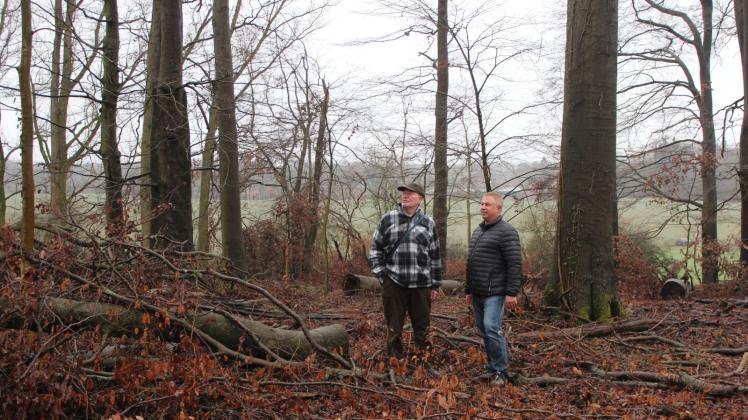 Noch immer sind der ehemalige Förster Hans-Jürgen Heine und Friedrichsruhes Bürgermeister Andreas Sturm (v.l.) entsetzt über die Arbeiten im Runden Holz, haben aber eine Lösung.