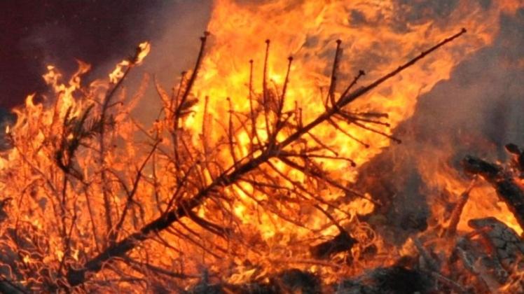 Tannenbäume brennen. Viele Bürger trafen sich am Lagerfeuer. 