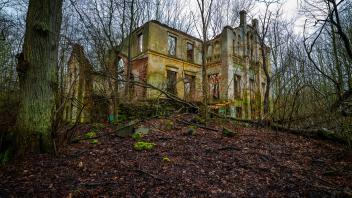 Die Ruine des alten Herrenhauses auf Wustrow