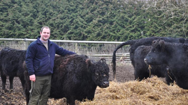 Mit der Kuh hatte alles angefangen. 2012 hat Stevens Henschels Frau Ulrike ihm das Tier und ein Kalb geschenkt.  Fotos: Katja Müller 