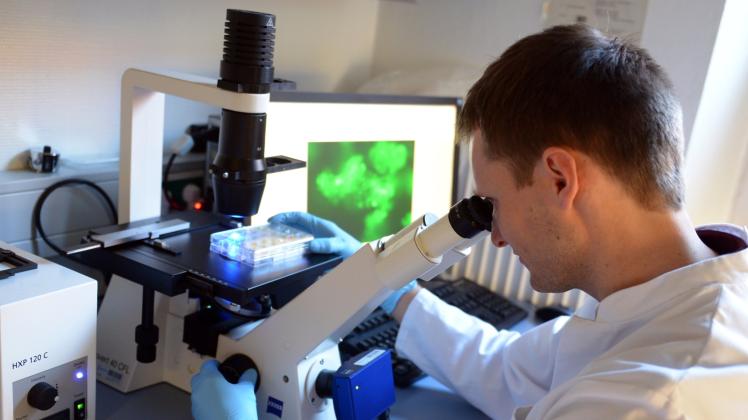 Krebserkrankungen lassen sich heute mit modernen Verfahren zur zelldiagnostik früh nachweisen. 