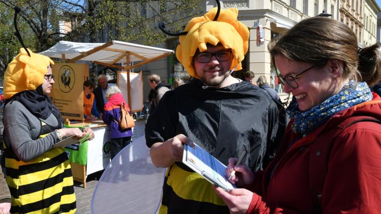 Als Bienen kostümierte Naturschützer sammelten seit letzten Sommer in Potsdam Unterschriften für ihre Volksinitiative. Soll das alles wegen formaler Fehler umsonst gewesen sein? 