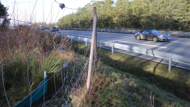 Teil eines Wildschutzzaunes an der Autobahn A 24 nahe Hagenow. Auf über 60 Kilometern gibt es weiterhin keine Zäune. 
