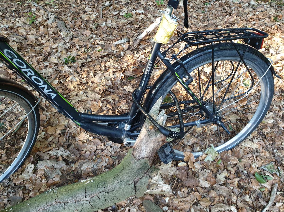 flyer fully e bike Via School Bus Yellow / Small Sardellen Kinderfahrrad von Cube günstig Motor:D02 Classic 3000W Featuring an easy