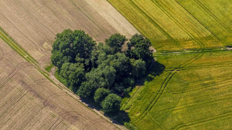 Kann Man Ackerland In Bauland Umwandeln Ackerland wird zu Bauland: So möchte die Gemeinde Ellerau künftig
