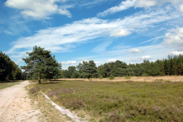 Der berühmte Ochsenweg ist ein Teil des Pilgerweges, der durch Dänemark und Deutschland verläuft – ein toller Rad- oder Wanderweg. Der berühmte Ochsenweg ist ein Teil des Pilgerweges, der durch Dänemark und Deutschland verläuft – ein toller Rad- oder Wanderweg.