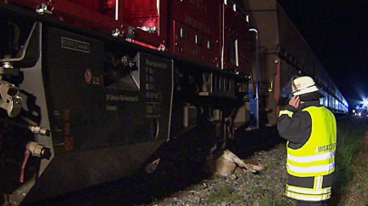 Eine verendete Kuh liegt unter der Lok des Güterzuges. Foto: tvr
