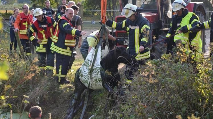 Tierrettung: Pony „Gauner“ wird in Bookholzberg-Neuenlande von der Feuerwehr aus einem Graben gerettet. 