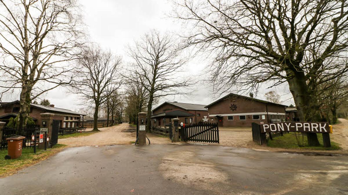 Der PonyPark Padenstedt läuft im Krisenmodus SHZ