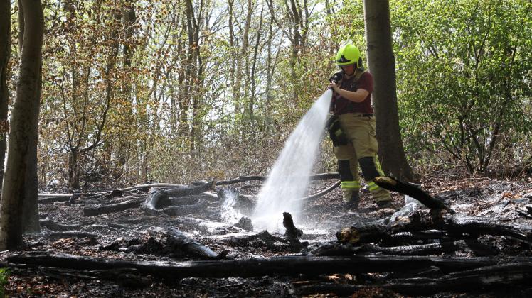 Ein Feuerwehrmann löscht den Brand im Wald nahe dem Atomkraftwerk in Geesthacht.