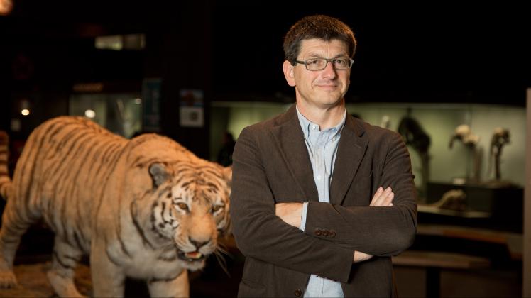 Das Ziel rückt näher: Matthias Glaubrecht, Direktor des Centrums für Naturkunde an der Hamburger Uni, kämpft seit Jahren für ein großes Naturkundemuseum in der Hansestadt. 