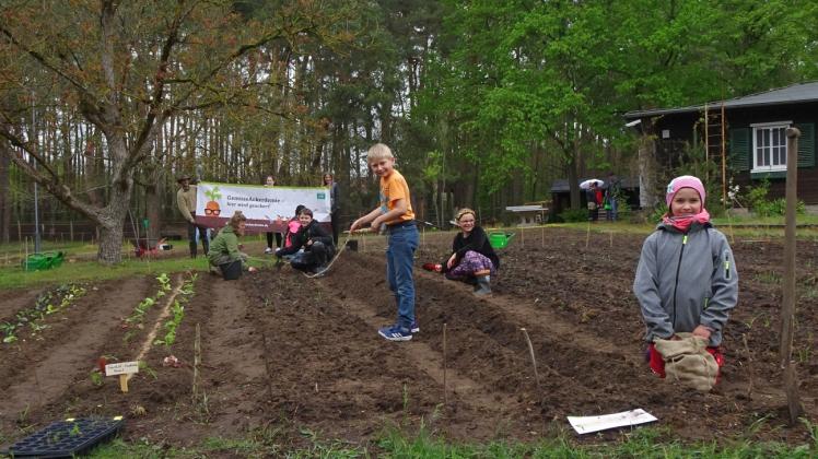 Schüler der Montessori-Schule pflegen erste Anpflanzungen der Schulfarm in Klein Lüben. 