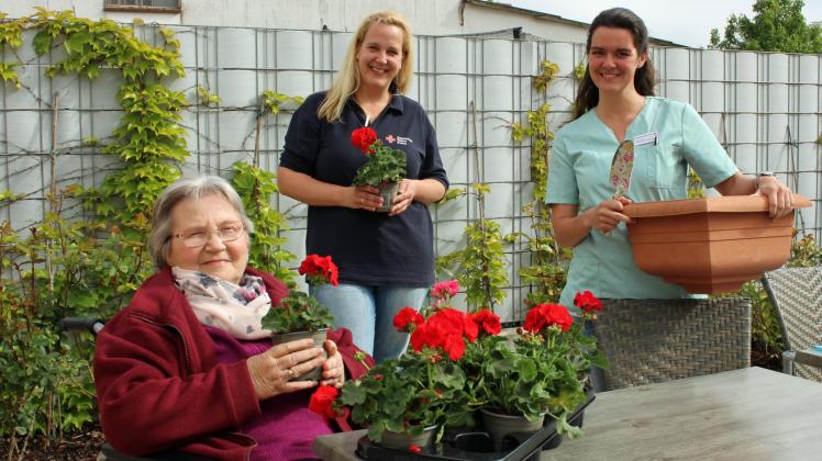 Edeltraud Hartwig mit Melanie Schlusinske und Tina Warda von links wollen Geranien einpflanzen. 