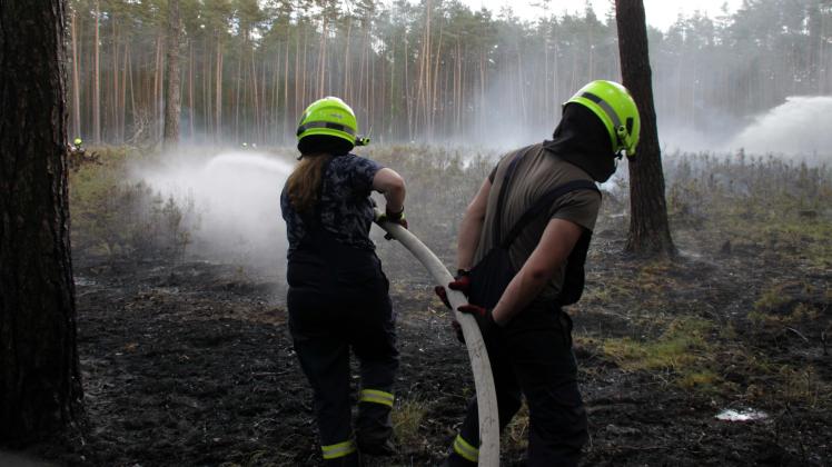 Brand in einem Waldstück zwischen Hoort, Alt Zachun und Sülstorf