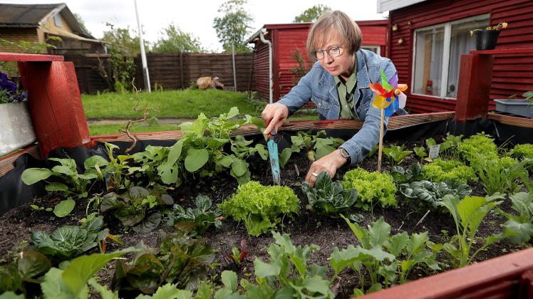 Die Zahl der Flensburger Gartenfreunde wächst gefeiert wird spä