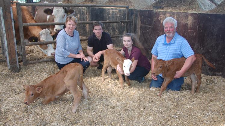 Albert und Gisela Paulsen freuen sich mit ihren Kindern Jasper und Merle über die Geburt der drei Kälber. 
