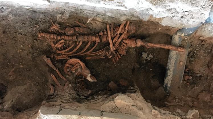 Zehn Skelette wurden innerhalb von nur einer Woche bereits gefunden.