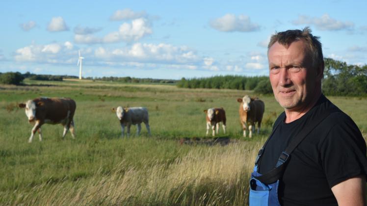 Landwirt Dieter Bruhn aus Lydersholm (DK) ist Schafzüchter, besitzt aber auch Rinder.