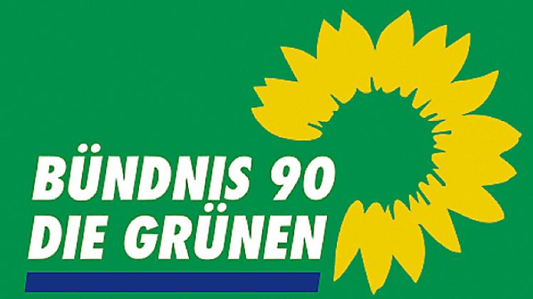 Die Grünen des Kreises Steinburg haben in einer Online-Konferenz viele Ideen ausgetauscht. 