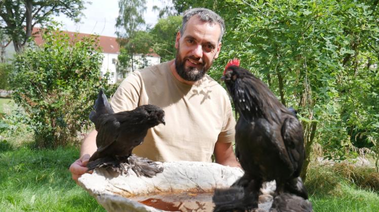 Diese zwei Hühner von Jens Zollhöfer waren in der Coronazeit in der Kita „Pippi Langstrumpf“ geschlüpft.