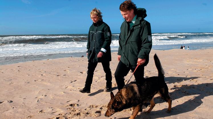 Mit Drogenspürhund  „Olli“ suchten die Zöllner Kalle Dommes und Heike Erichson den Westerländer Strand ab.