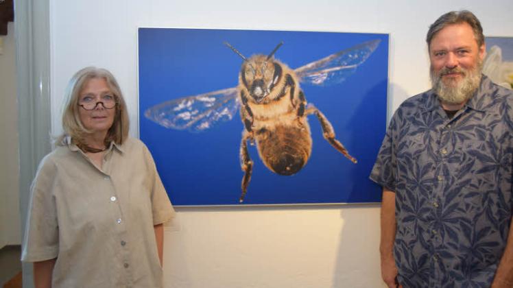 Heidi und Hans-Jürgen Koch zeigen im Museum  Eckernförde 22 Fotos ihres Projekts „Bienen – Die Bestäuber der Welt“.