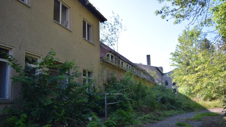 Warins Filetstück als größter Schandfleck: Das ehemalige Krankenhaus in der Burgstraße ist nach 23 Jahren Leerstand längst eine Ruine. Fotos: Roland Güttler 