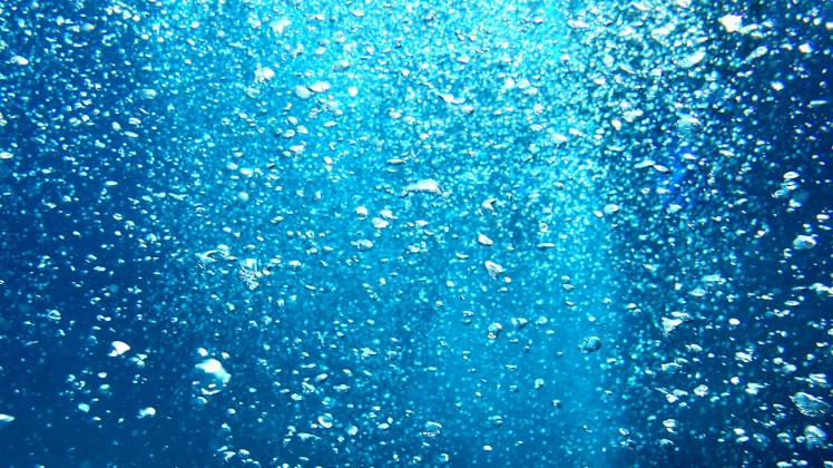 Soll Schweinswale schützen: Blasenschleier dämpfen Unterwasserlärm. 