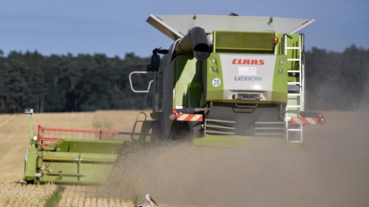 Brandenburgs Landwirte ernteten insgesamt 2,5 Millionen Dezitonnen Getreide in diesem Jahr. 