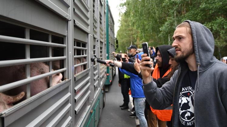 Tierschützer blicken immer wieder mal auf den Schlachthof in Quitzow. 2018 organisierte die Initiative „Berlin Animal Save“ einen friedlichen Protest. Sie verabschiedeten sich von den Schweinen.