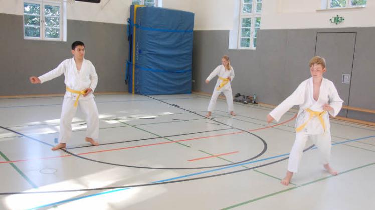 Beim Karate-Verein Schleswig wird zurzeit immer noch auf Abstand trainiert, wie die Schüler Adil Aghayev, Johanna Montag und Julius Klatt (von links) hier demonstrieren. 
