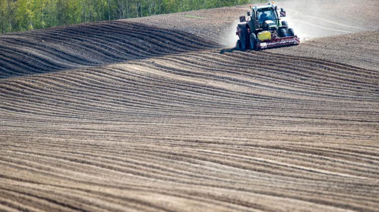 In die Hände von Bauern oder eines Großkonzerns:  Richter entscheiden über 210 Hektar landwirtschaftlicher Nutzfläche in der Prignitz.